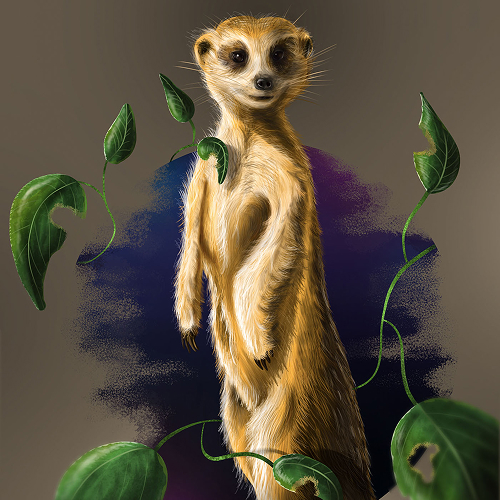 Illustration & Artworks — Freelance Projects